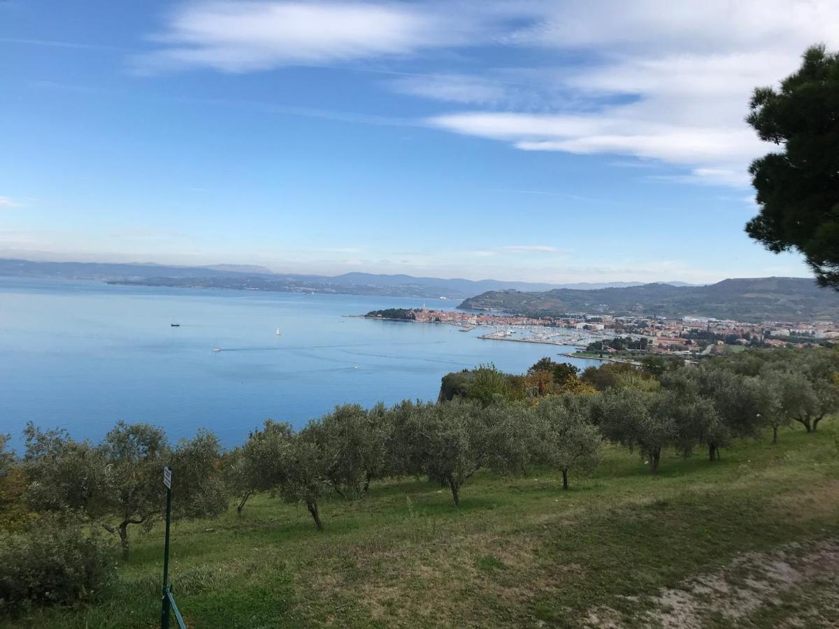 Morje Apartamento Izola Exterior foto